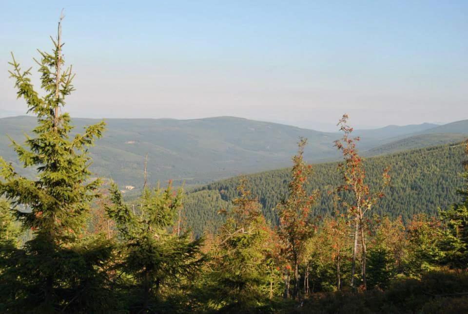Dom Goscinny Finezja Świeradów-Zdrój Exterior foto